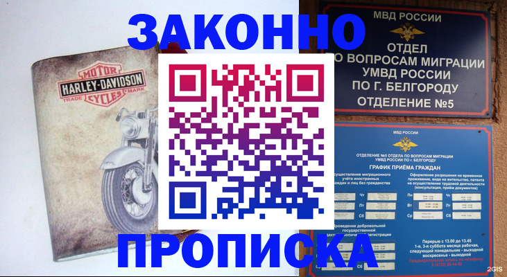 прописка для школы в Шахунье